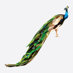 Peacock Low Polygon