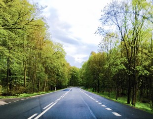 Obraz premium drzewa w skrajni drogi