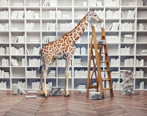 bébé girafe dans la bibliothèque