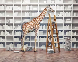 Fototapete Giraffe Giraffenbaby in der Bibliothek