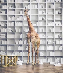 Rolgordijnen Giraf giraffe in the room