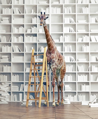 giraffe  in the library