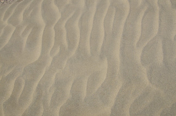 Fototapeta na wymiar Yellow sand texture for background