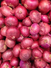 shallot onion background