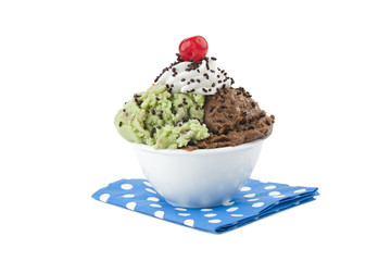 chocolate and mint ice cream on a bowl