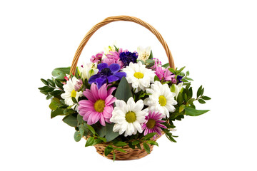 bright flowers in a basket on an isolated background