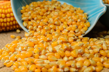 Dried corn in blue ceramic bowl on wooden table