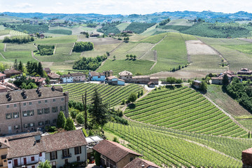 Fototapeta na wymiar Vineyards and hills in Barbaresco zone, Italy 