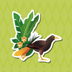 Tropical design. bird concept. nature icon 
