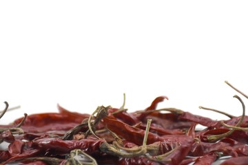 Dry chili pepper isolated on a white background.below