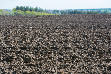 Plowed field in the spring