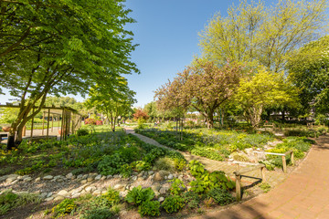 Bürgergarten Hameln