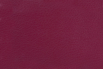 red leatherette texture as background.