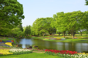 Showa Memorial Park in Japan