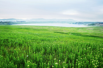 spring evening photo of Lake Most viewed from the verdant fields in North Bohemia landscape
