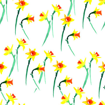 Watercolor spring floral narcissus pattern