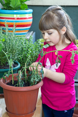 Young girl gardening rosemary plant smiling