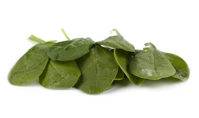 wet green spinach leaves