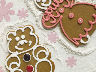 Obraz na płótnie Canvas a couple gingerbread biscuits