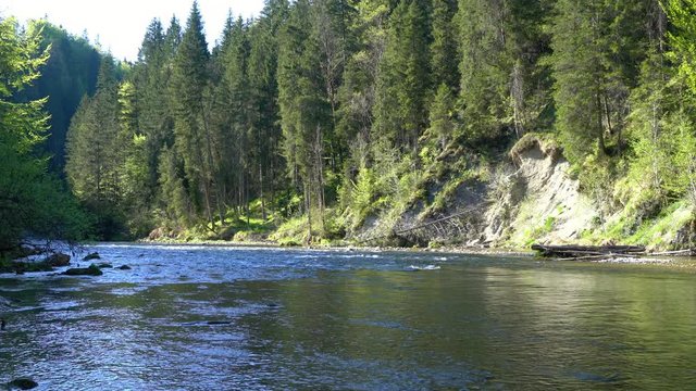 Fluss Ammer im Naturschutzgebiet in Bayern