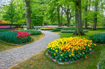 Obraz premium Colorful tulips, Keukenhof Park, Lisse in Holland
