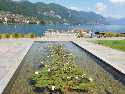 Fontana con ninfee a Sarnico