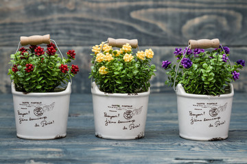 Artificial Yellow, Purple and Red Flowers in a Flowerpot