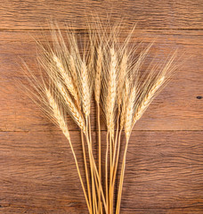 Barley grain on wooden table