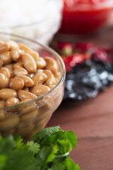 Pinto Beans and Cilantro Vertical