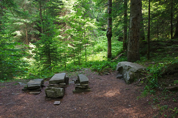 Rest place in forest