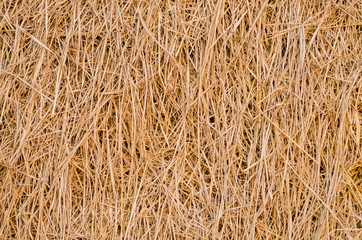Pattern of rice straw at the field.
