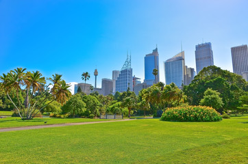  View of Sydney skyline from Royal Botanic Gardens