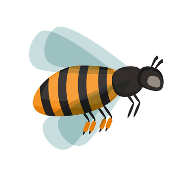Honey bee vector illustration.