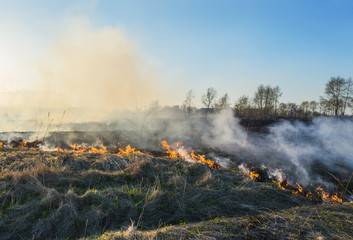 A natural disaster. Fire in nature