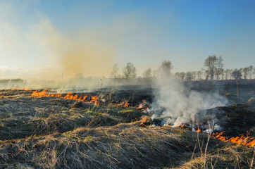 Burning dry grass in a field