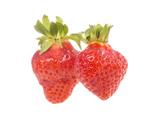 fresh whole individual strawberries