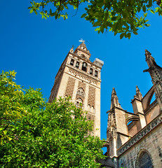 Fototapeta na wymiar Famous Giralda tower in Spain in Seville
