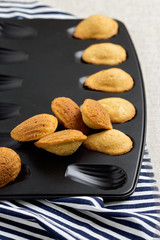 French cookies madeleines.