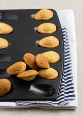 French cookies madeleines.