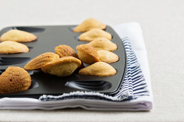 French cookies madeleines.