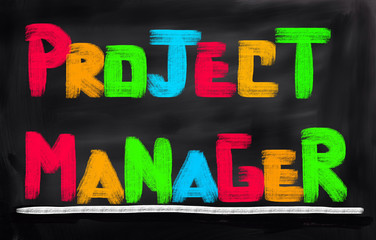 Project Manager Concept