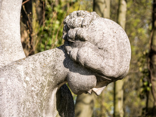 Engel