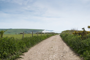 Fototapeta na wymiar Seven Sisters Cliffs in South Downs in East Sussex, between the towns of Seaford and Eastbourne in southern England. 