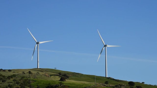 Landscape of wind turbines energy rotating with blue sky