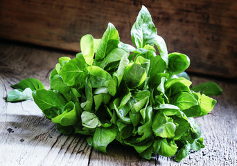 Fresh green basil in a beam on a vintage wooden background, sele