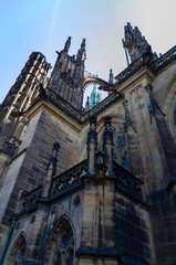Fototapeta premium Prager Kathedrale