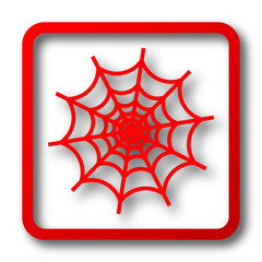 Spider web icon
