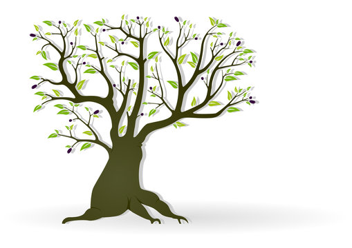 Olive Tree Illustration - Abstract Colored Vector