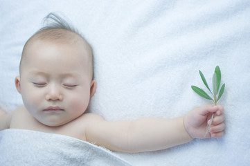 オリーブの葉を手に持って昼寝をする日本人の赤ちゃん
