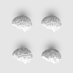 Set of Low Poly or Paper Brains. - 110026242